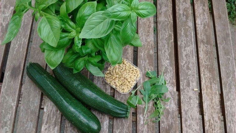 KIP PESTO COURGETTE PASTA