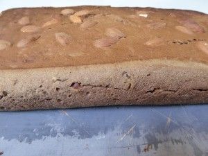 Vitastic - Power Dadel Brood - zonder ei